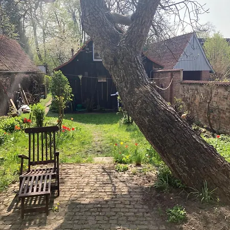 For Rent Weser Nienburg (Lower-Saxony)